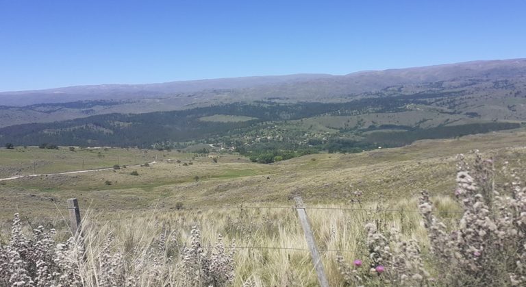 Yacanto